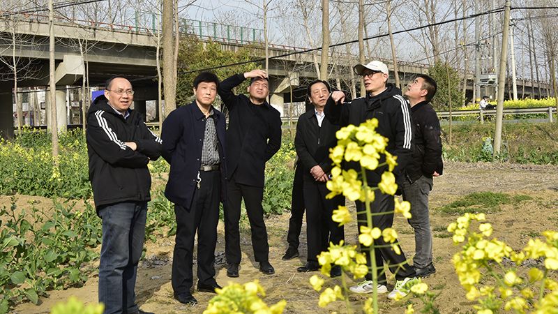 农场公司邀请南林大专家考察指导林苗一体化生产