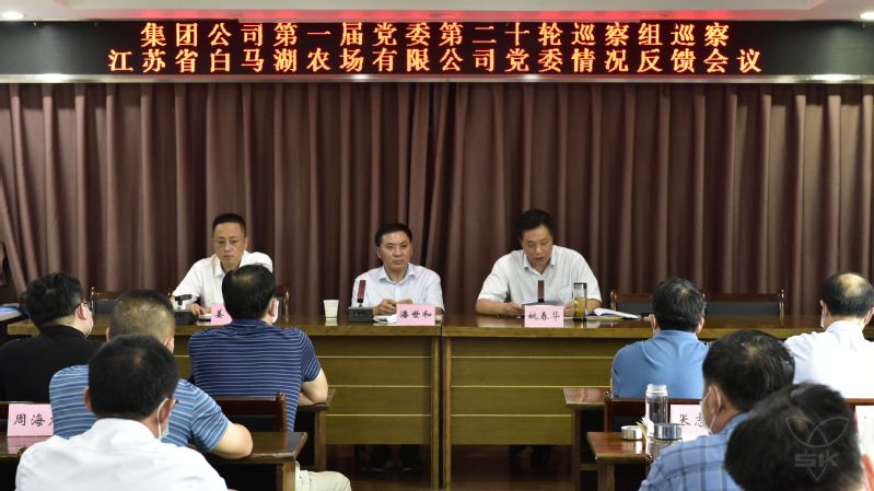 集团党委第一巡察组向农场公司党委反馈巡察情况