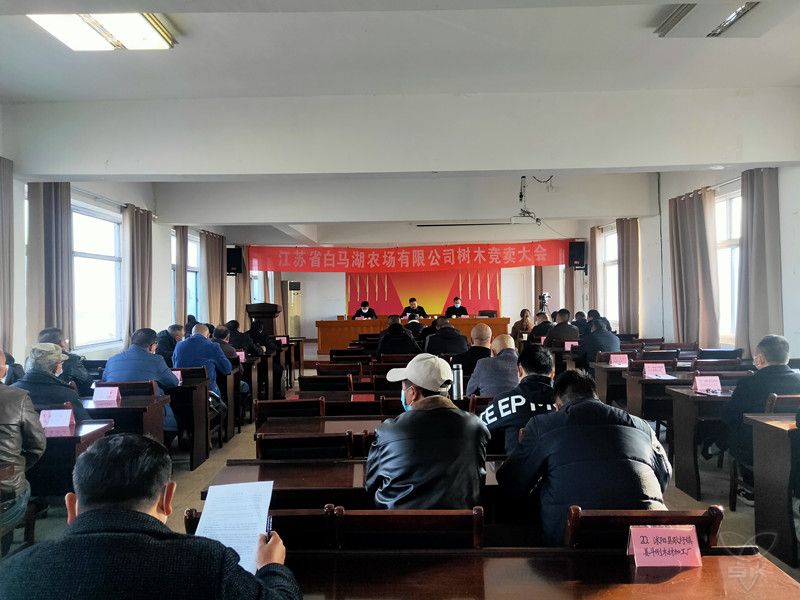 农场公司组织部分林木竞卖