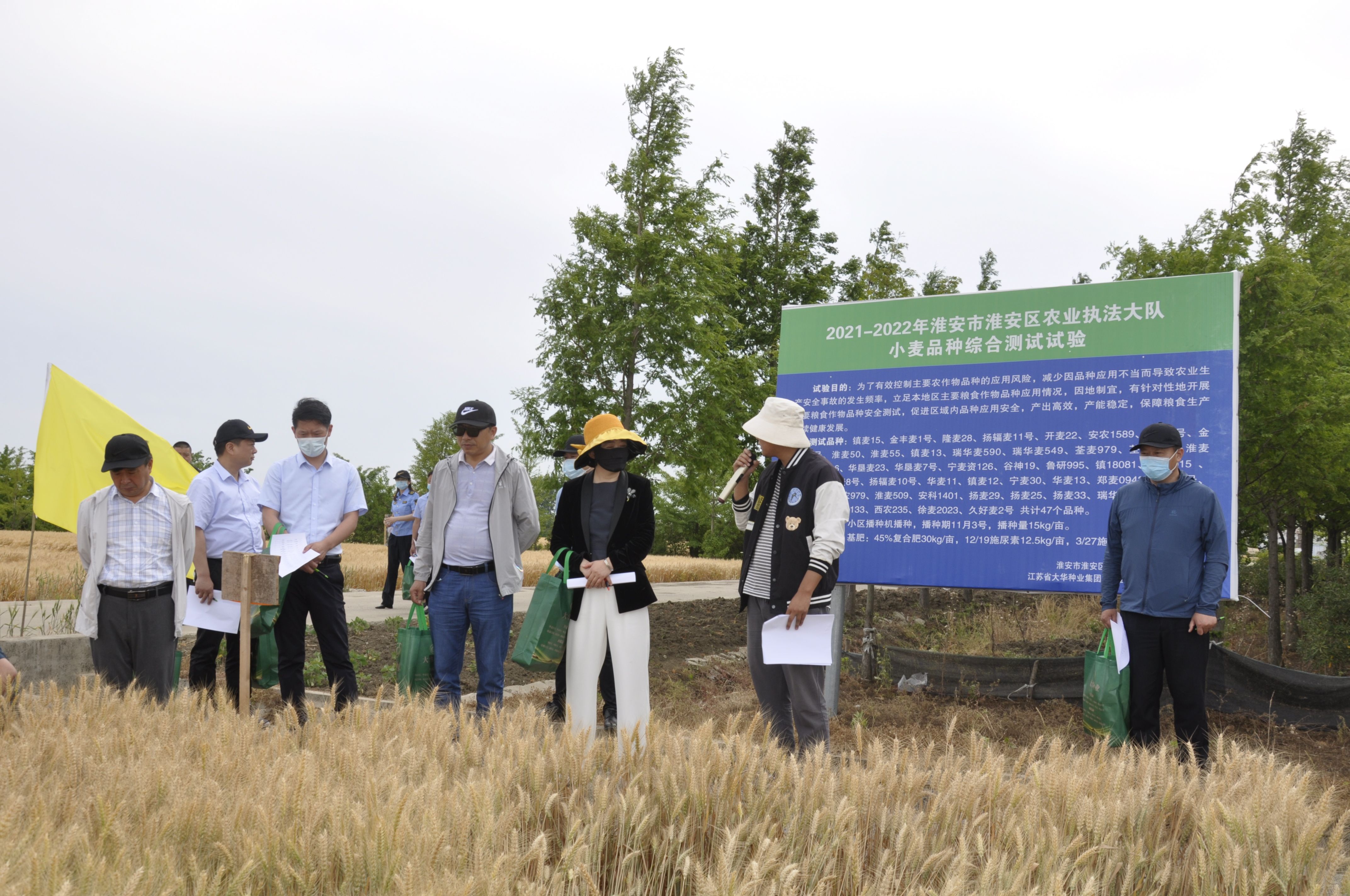 省种子站组织对大华麦种认证试点示范基地进行质量鉴定