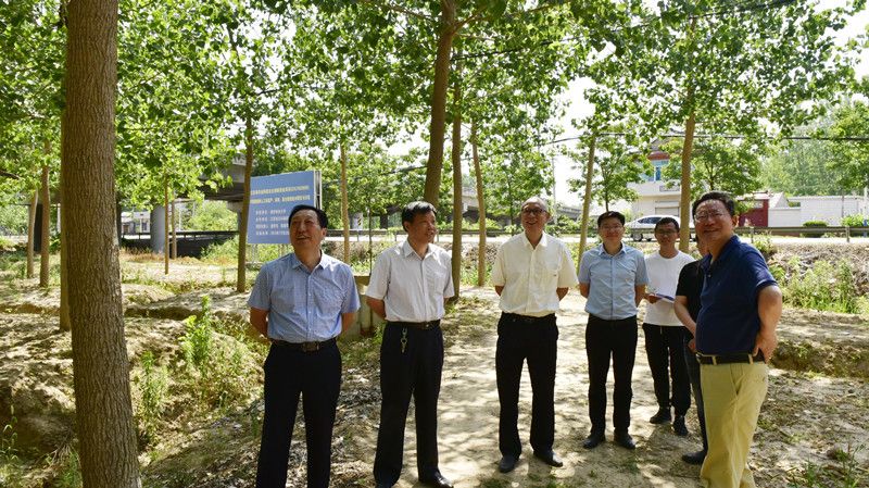 农场公司邀请南林大专家考察指导林业林苗生产