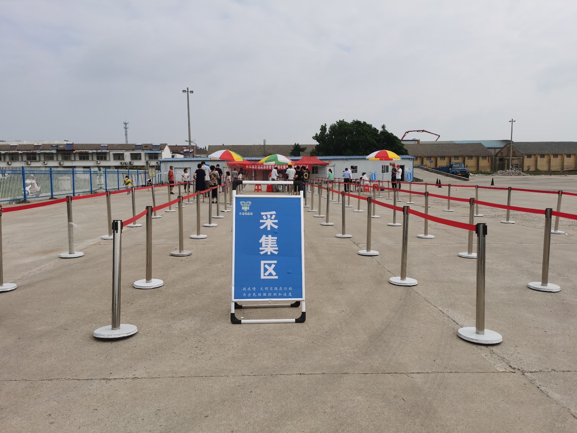 农场公司全面完成新一轮全员核酸检测任务