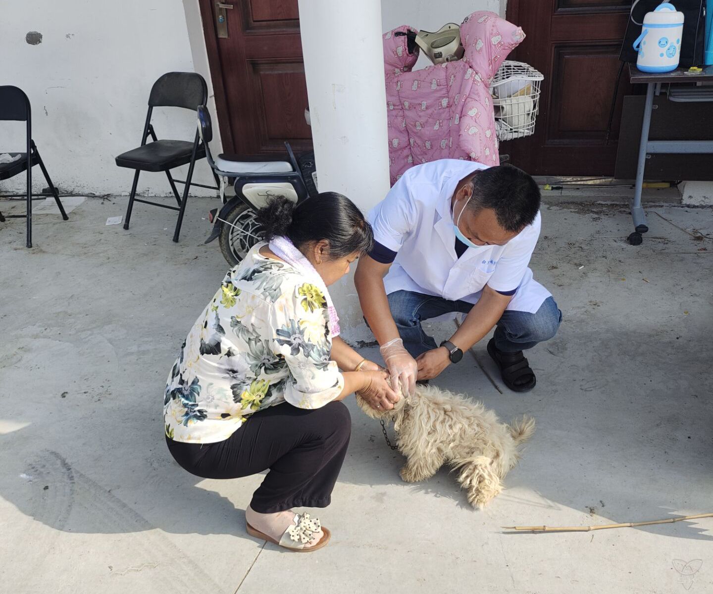 农场公司多措并举切实做好狂犬病防控工作