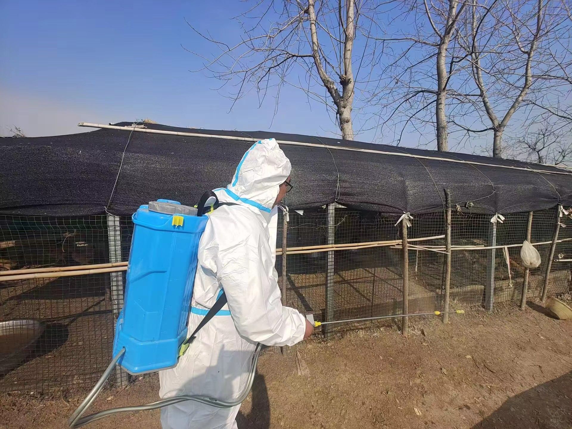 农场公司：全力开展今冬明春消毒灭源行动