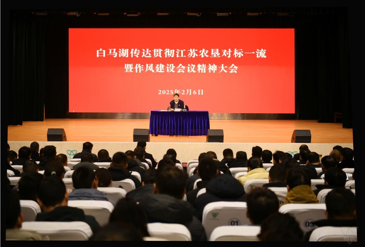 农场公司及时传达贯彻集团公司对标一流暨作风建设会议精神