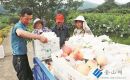 地产水蜜桃抢“鲜”上市